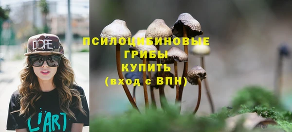 бошки Алексин