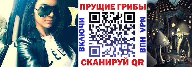 Псилоцибиновые грибы Psilocybine cubensis  Купить закладки  Шумиха 